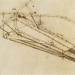 Drawing of a flying machine